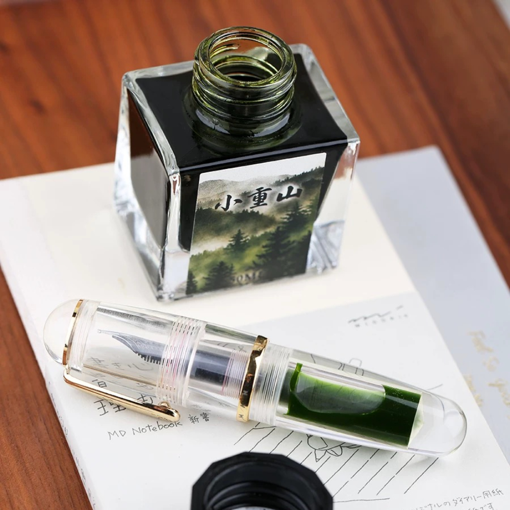 MAJOHN 50ml Fountain Pen Ink V - Fountain Pen Bottled Ink avis et prix