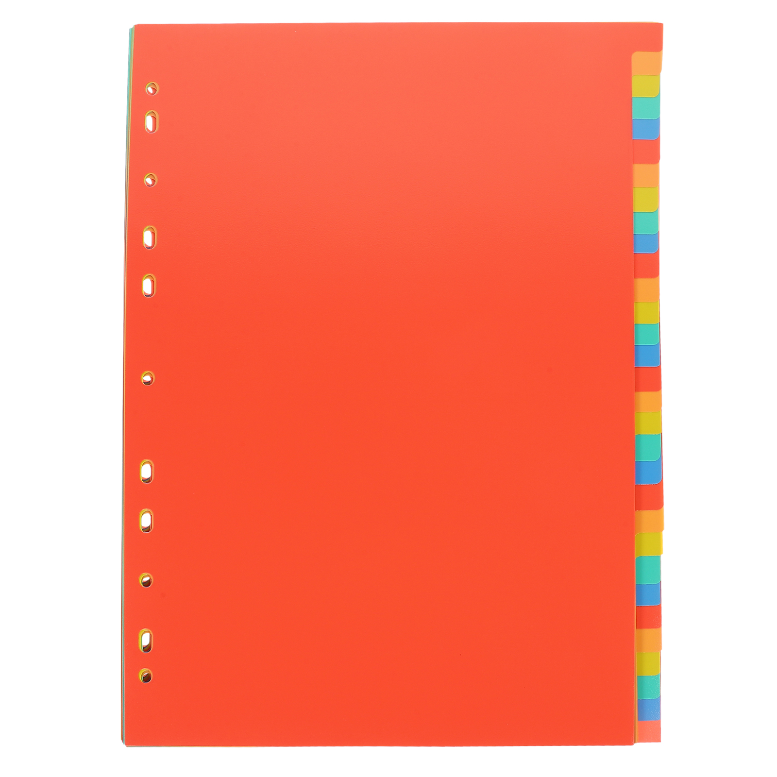 A4 Index Pages Plastic Binder  - Tab Divider A4 avis et prix