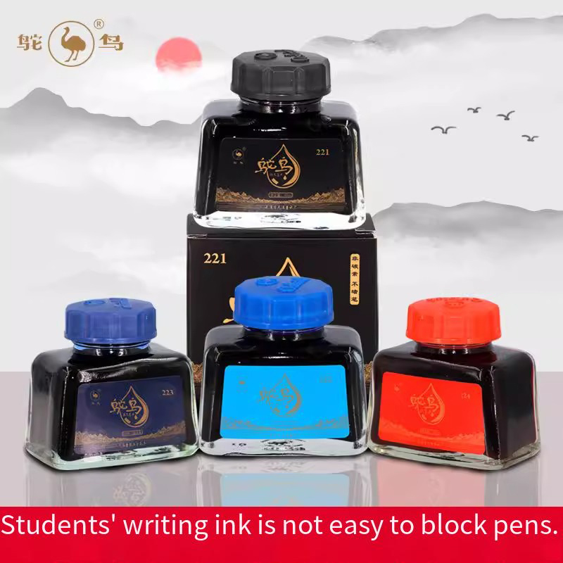 Ostrich 2-Series Fountain Pen  - Fountain Pen Bottled Ink avis et prix