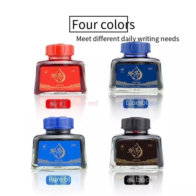 Ostrich 2-Series Fountain Pen  - Fountain Pen Bottled Ink avis et prix