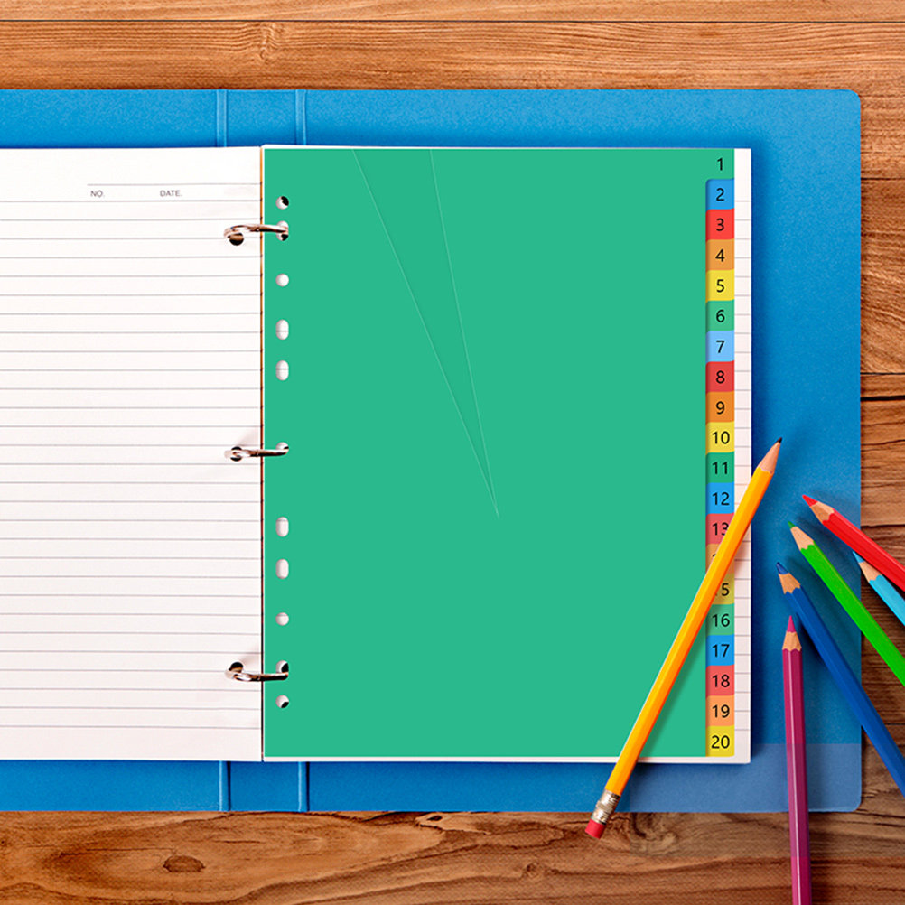 40Pcs Premium Plastic Colored  - Tab Divider A4 avis et prix