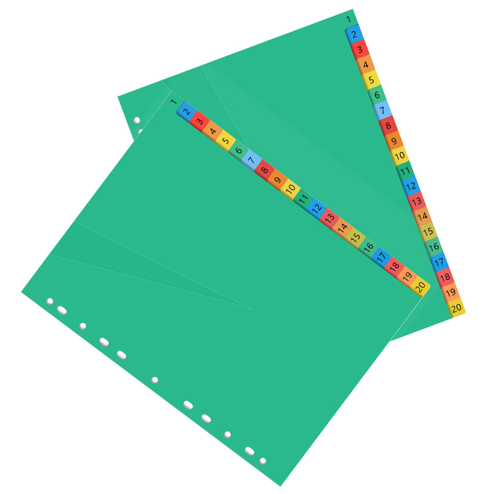 40Pcs Premium Plastic Colored  - Tab Divider A4 avis et prix