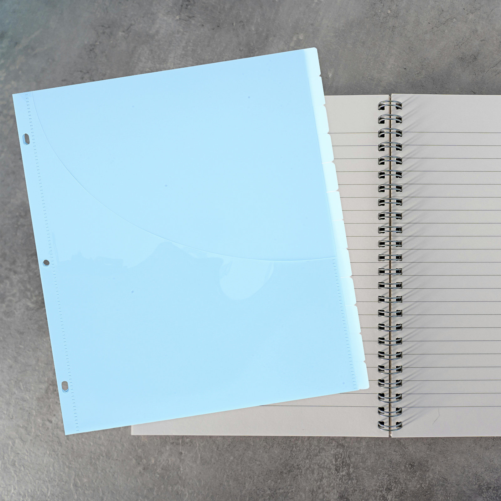 12Pcs Binder Dividers A4 Plast - Tab Divider A4 avis et prix