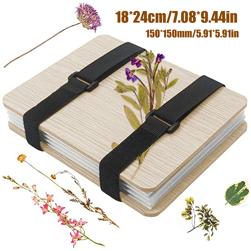 1 Set Plant Specimen Tool Kit  - Ink Blotter Paper avis et prix