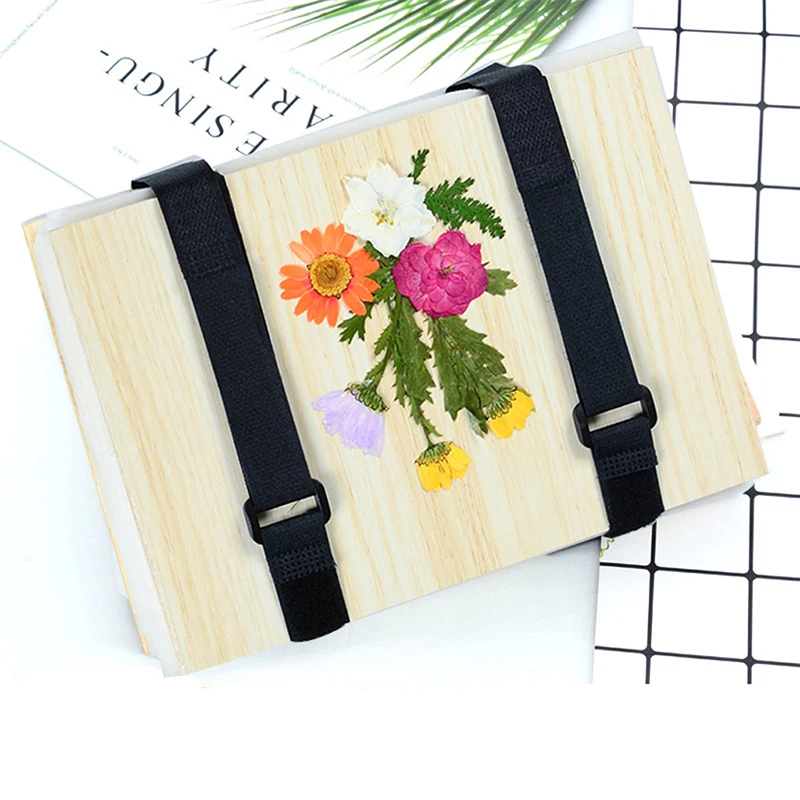 1 Set Plant Specimen Tool Kit  - Ink Blotter Paper avis et prix