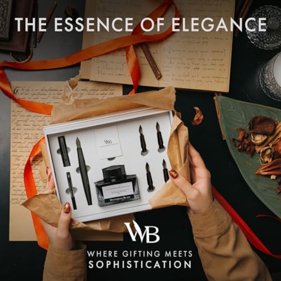 Fountain Pen Gift Set, Include - Fountain Pen Bottled Ink avis et prix